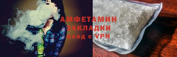 прущие грибы Гусиноозёрск