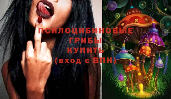 амф Арсеньев